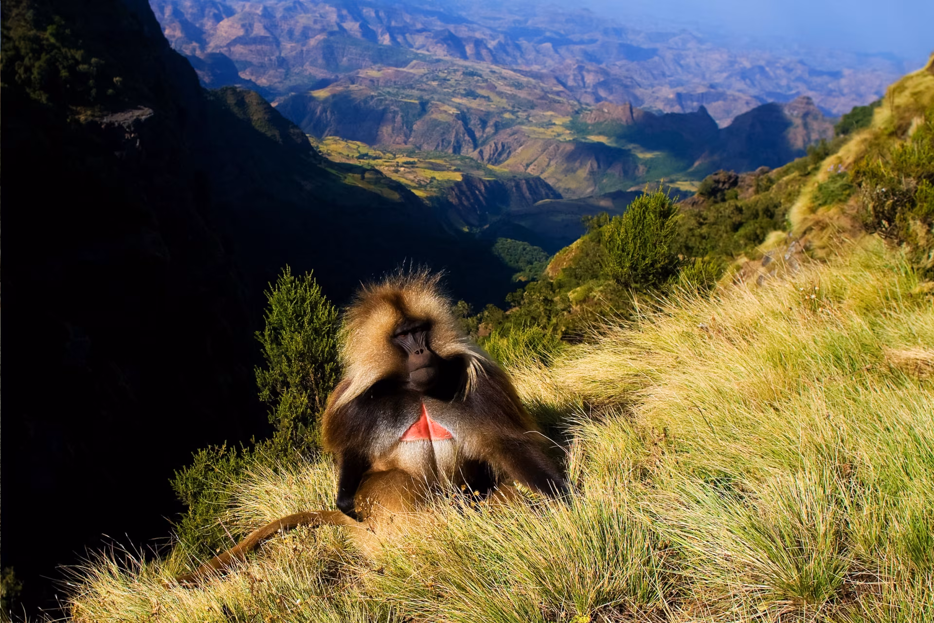 Grand tour d'Etiopia: Dai territori tribali della valle dell'Omo agli antichi regni degli altipiani d'Abissinia